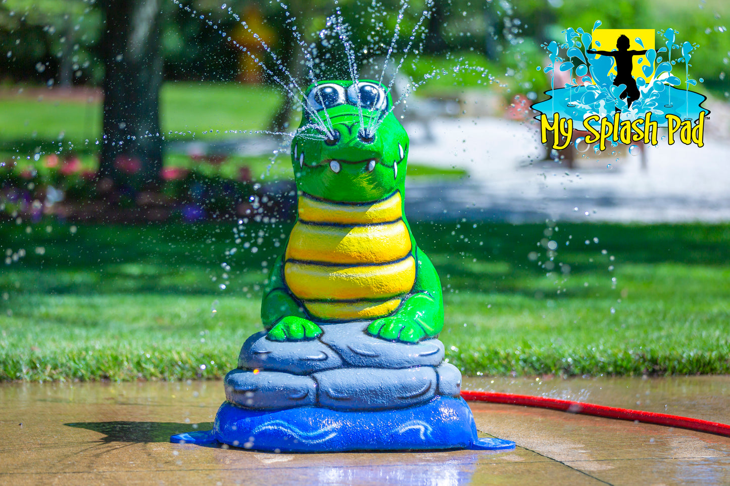Alligator splash pad water play feature with bright green body and yellow belly, spraying water streams for kids’ outdoor fun.