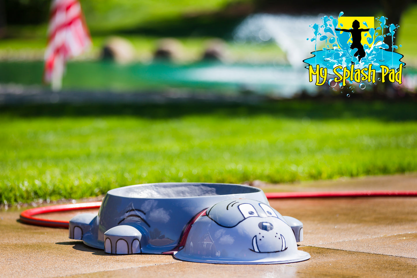 Dog Park Bulldog Water Bowl Water Play Feature by My Portable Splash Pad – gray bulldog-shaped water bowl on outdoor concrete with grass and American flag in background.