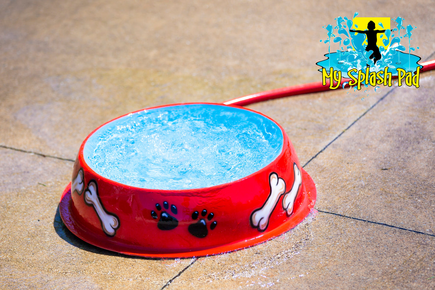 Dog Bowl Water Play Feature by My Portable Splash Pad – red bowl-shaped splash feature with white bone and black paw print designs, bubbling water surface for dogs to drink and play.