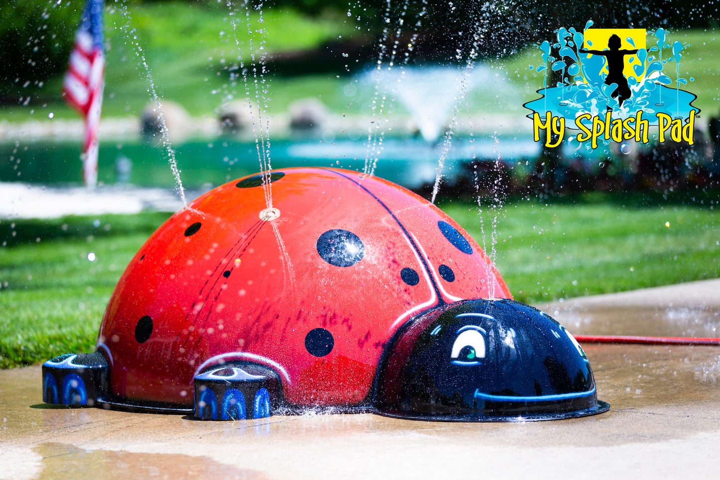 Large Ladybug Mobile Spray and Play Features