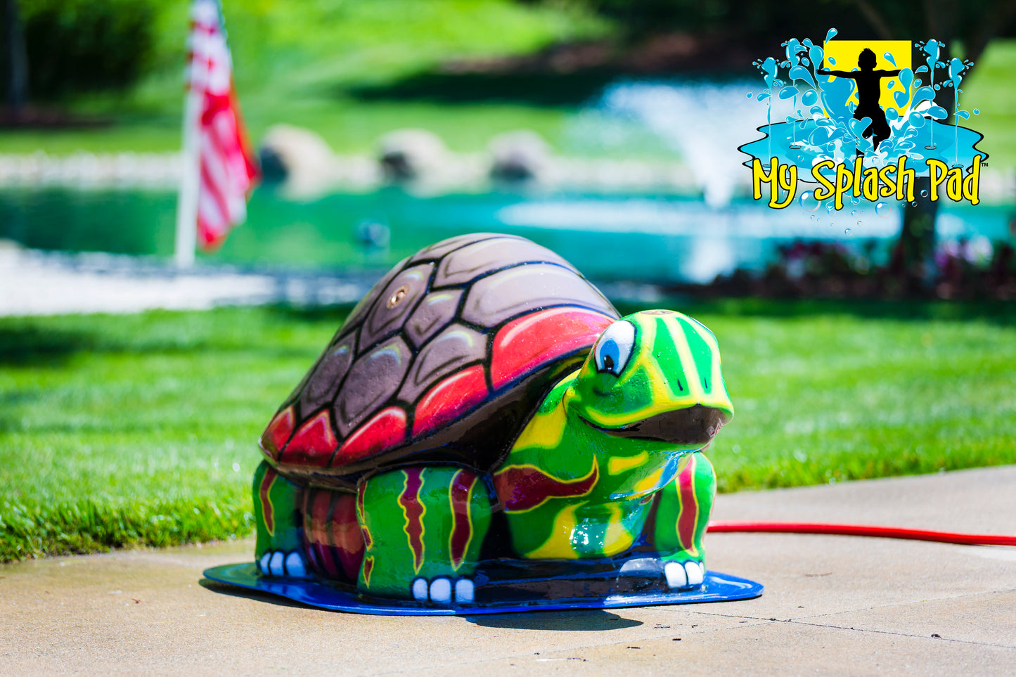 Large Turtle Mobile Spray and Play Features