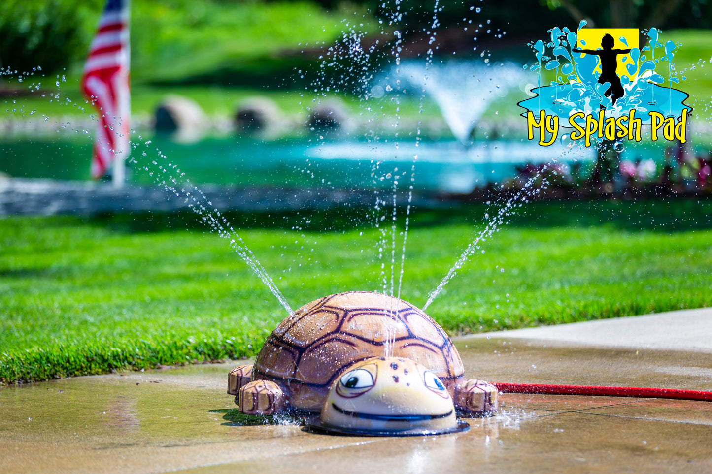 Small Turtle Mobile Water Play Features