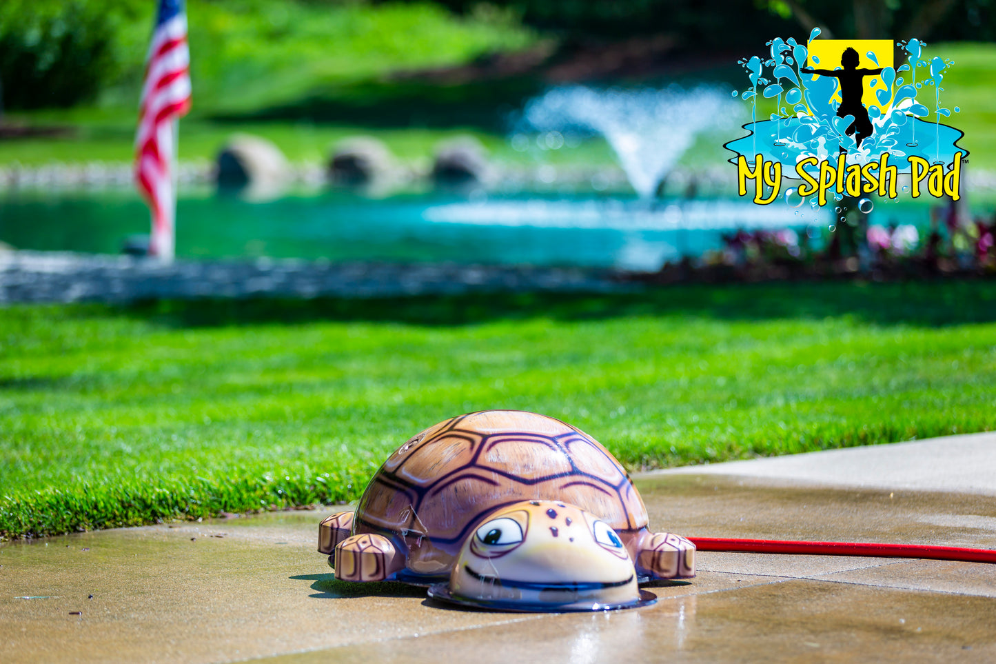Small Turtle Mobile Water Play Features
