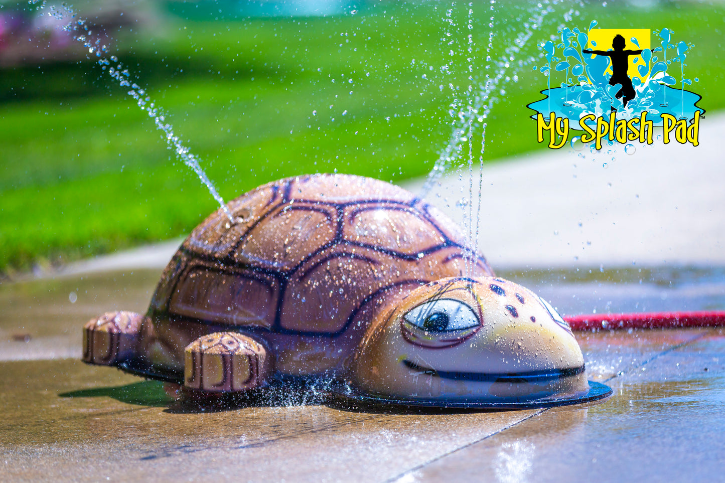 Small Turtle Mobile Water Play Features