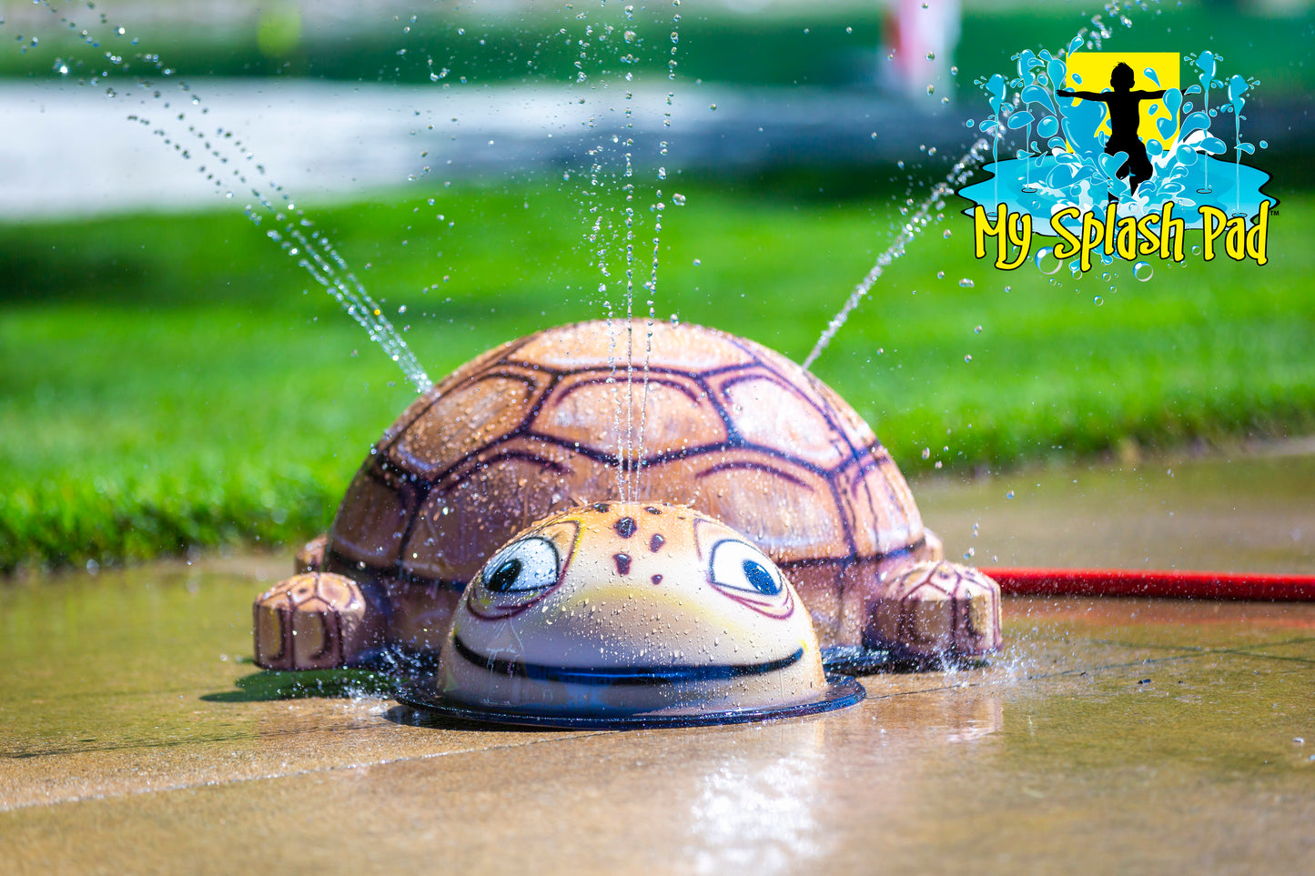 Small Turtle Mobile Water Play Features