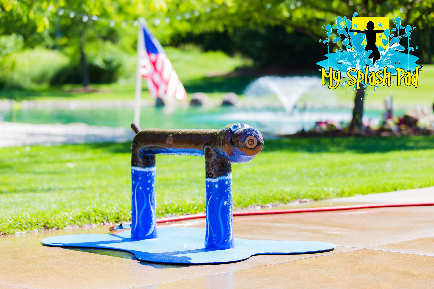 Standing Dog Water Play Features