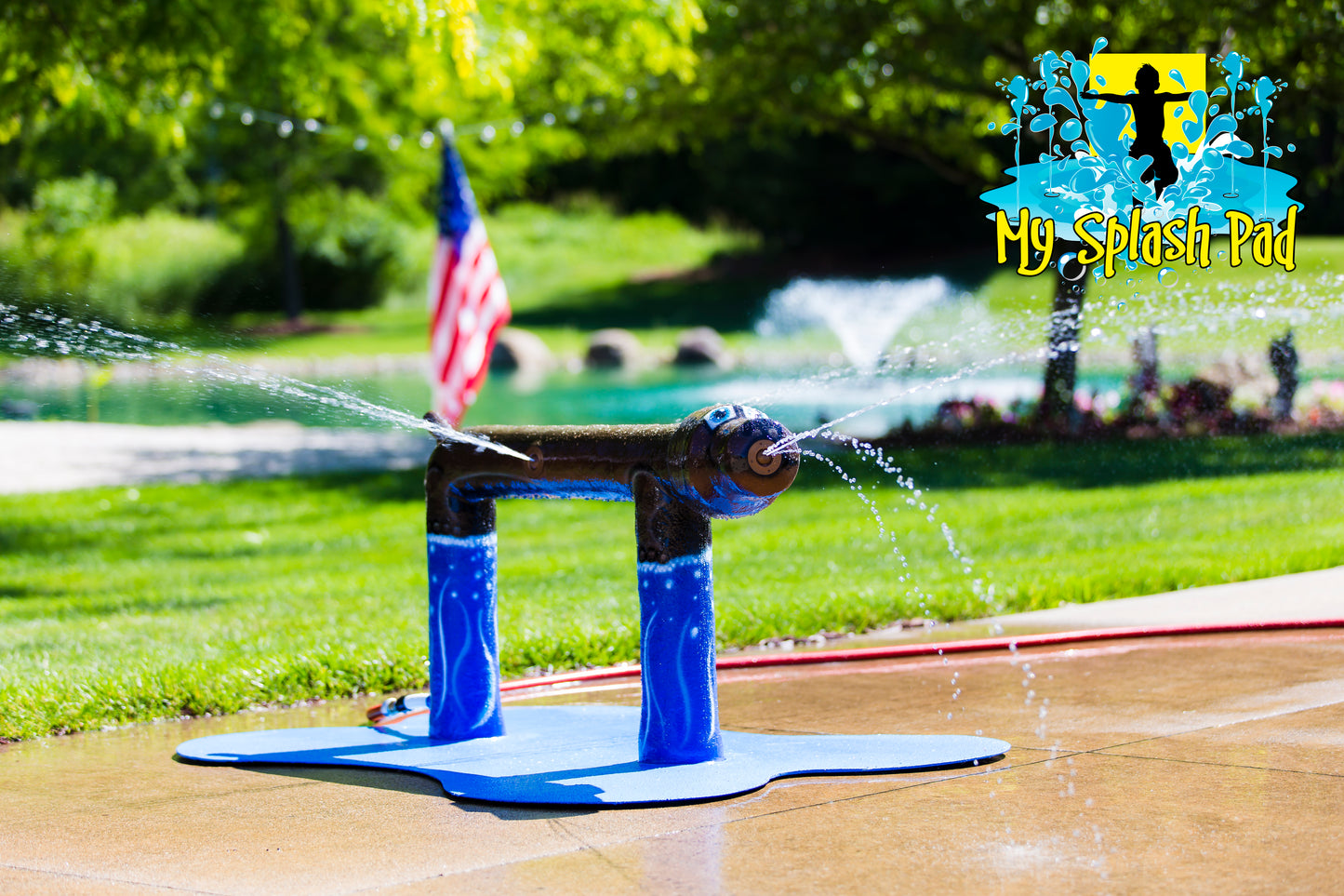 Standing Dog Water Play Features