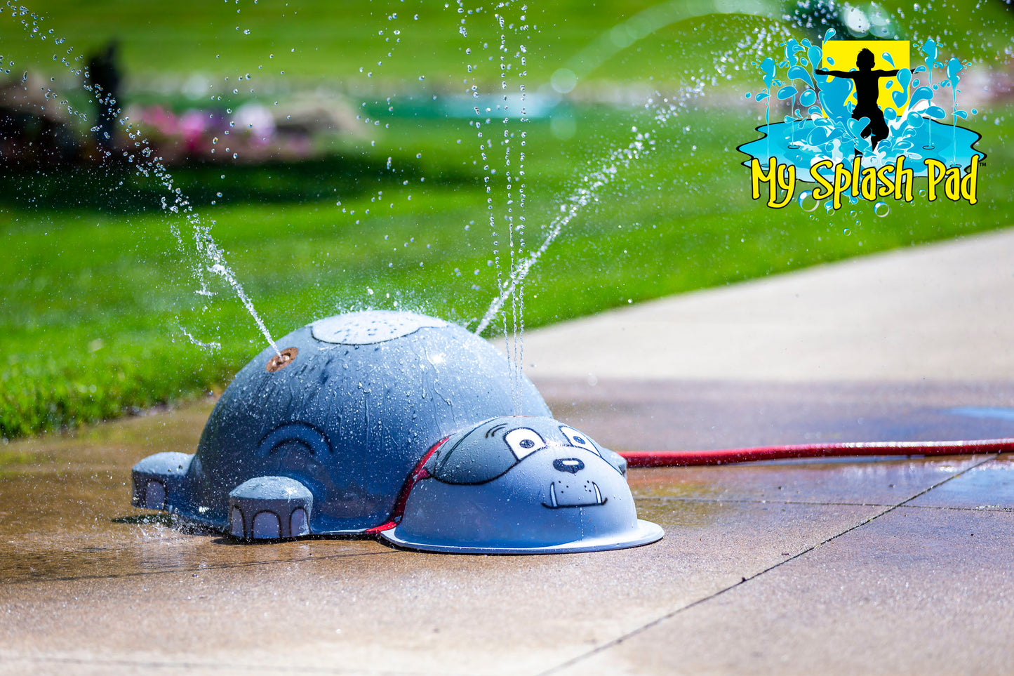 Small Spike Dog Water Play Features by My portable splash pad.