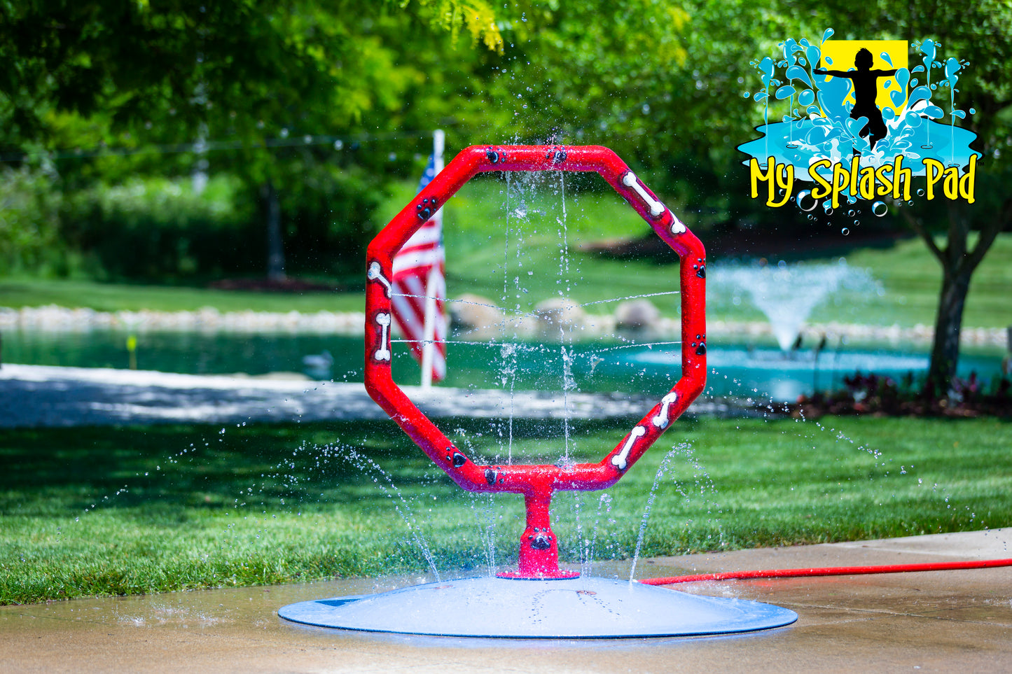 Dog Jump Hoop Water Park Feature