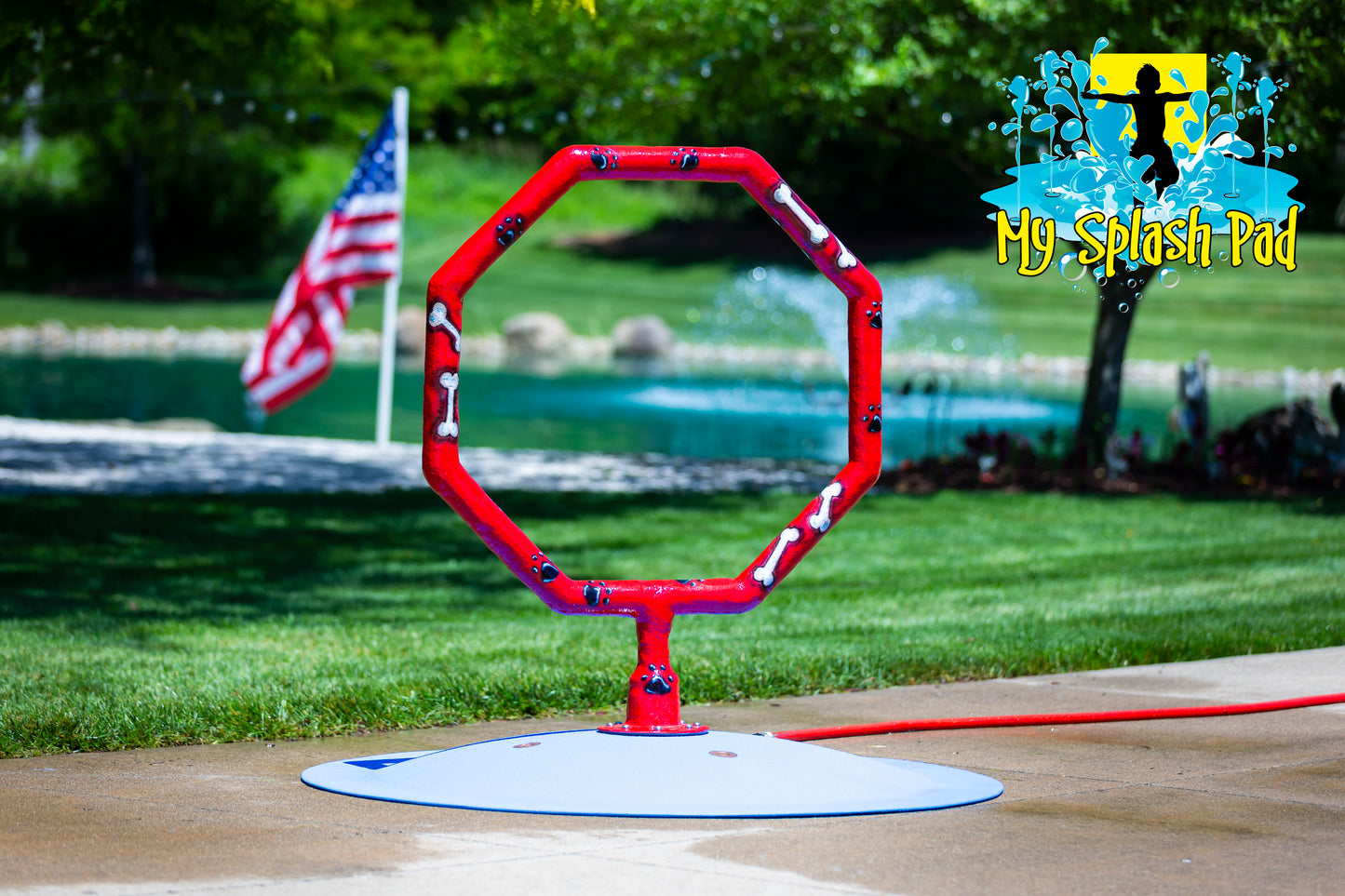 Dog Jump Hoop Water Park Feature