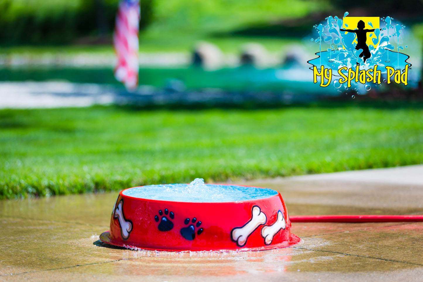 Dog Bowl Water Play Features