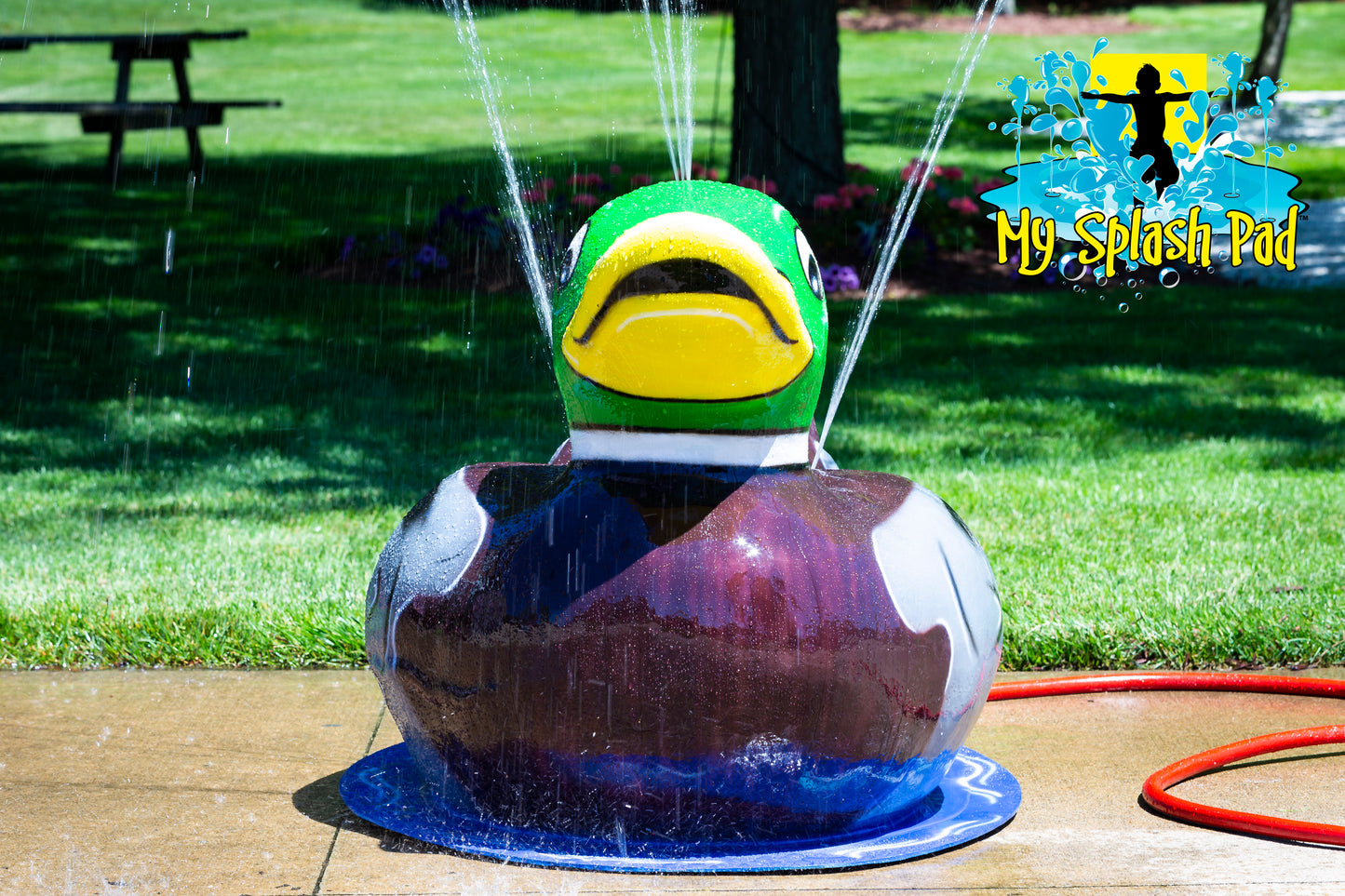 Duck Mobile Spray and Play Features