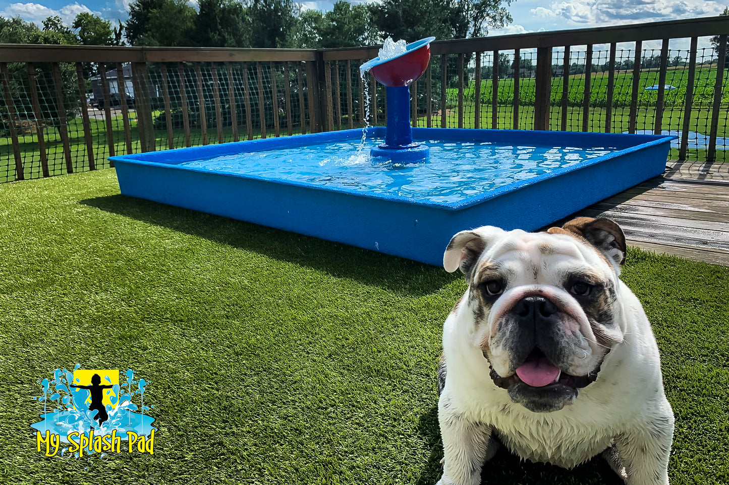 Dog Wading Pool