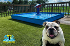 Dog Wading Pool by My Portable Splash Pad – blue rectangular pool with red water play feature on backyard turf, with bulldog in front.
